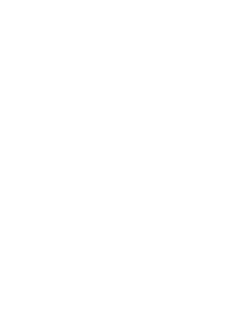 Logo for the Bravescope license model